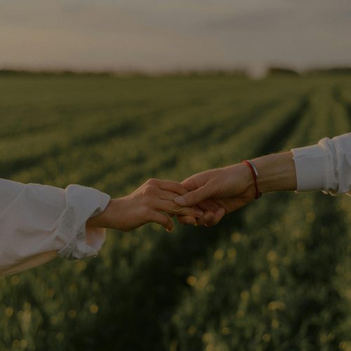 “Dos personas dándose la mano con paisaje de fondo, simbolizando apoyo y conexión para superar conflictos.